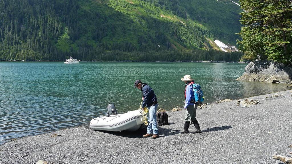 At Hobo Bay, our search for a nearby derelict mine was frustrated by muskeg and rugged terrain. © Tony Fleming